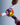Voted x Hawks Basket Ball Team